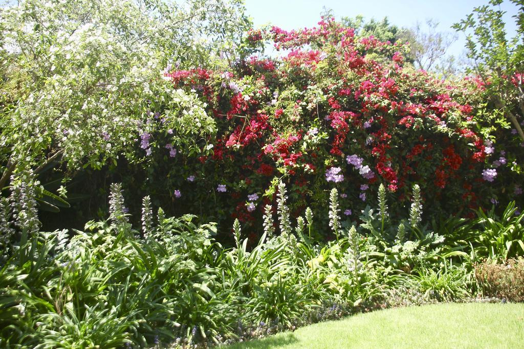 Melville Manor Guest House Johannesburg Eksteriør bilde