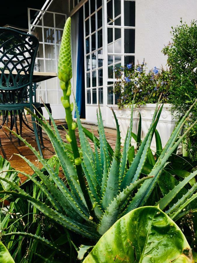 Melville Manor Guest House Johannesburg Eksteriør bilde